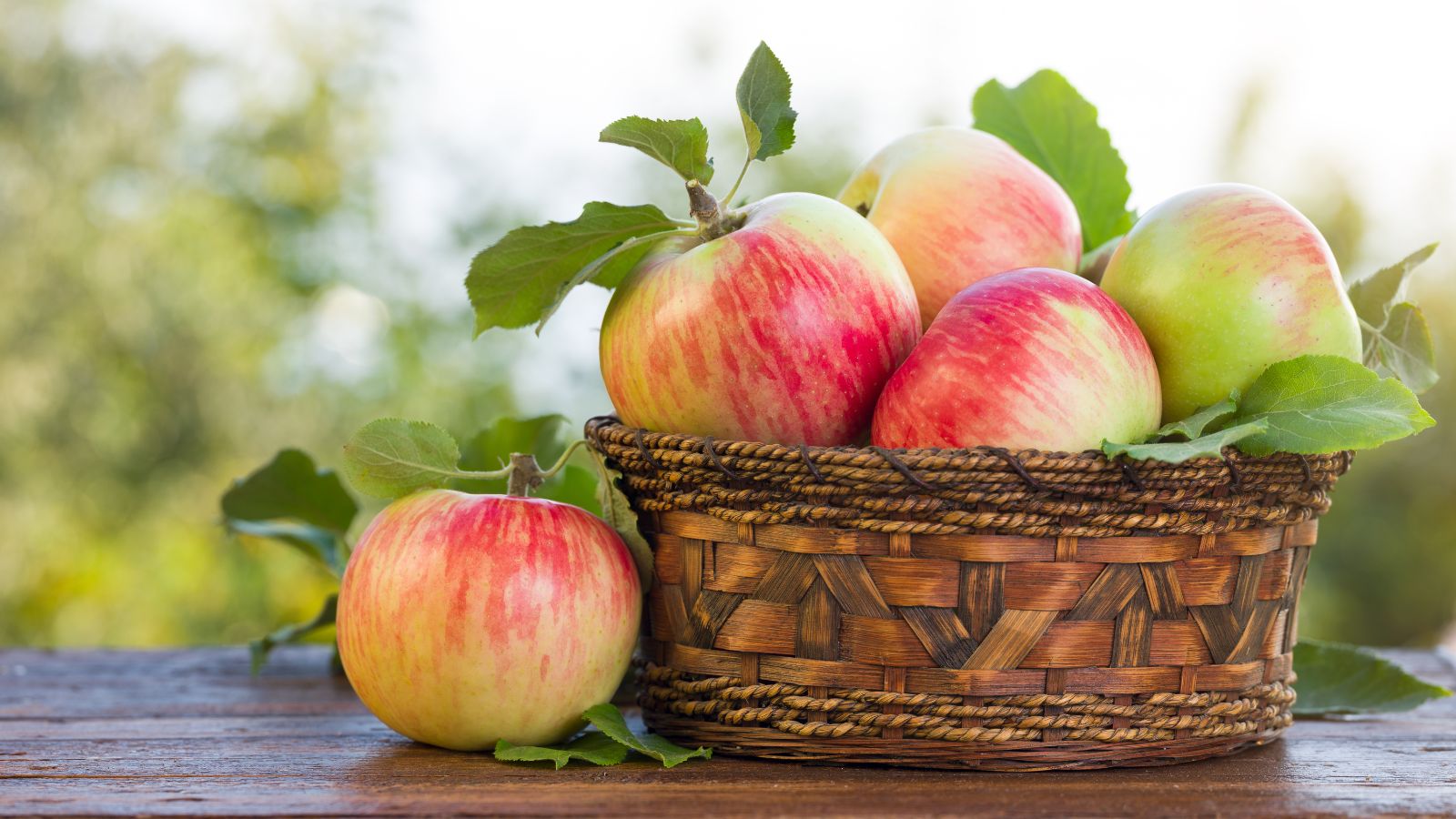 Scent Spotlight: Apple