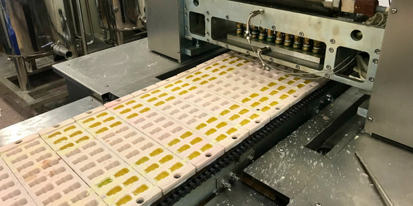 Behind The Bears: What it's like to work at a wax melt factory!