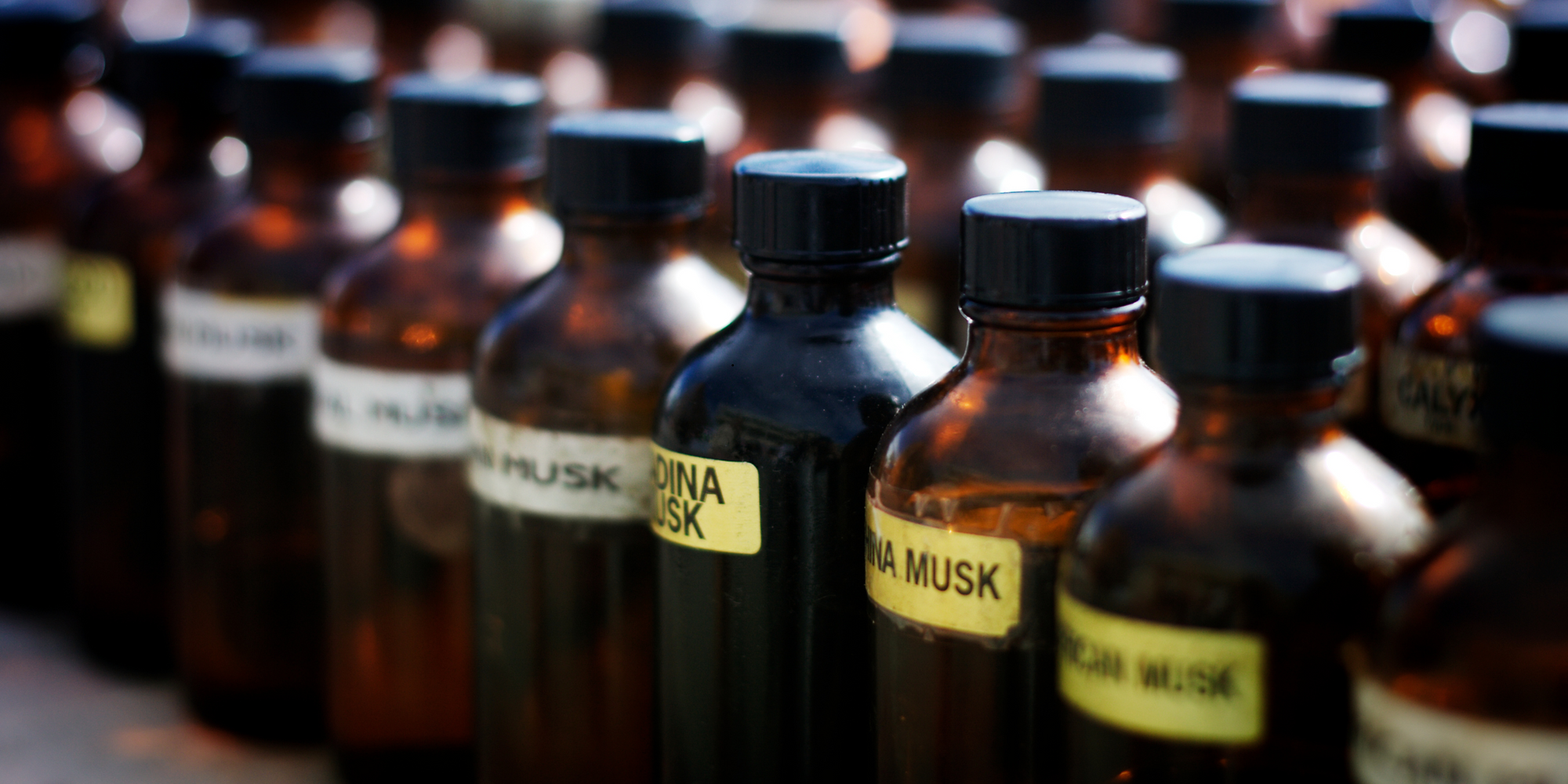 Scent Spotlight: Musk