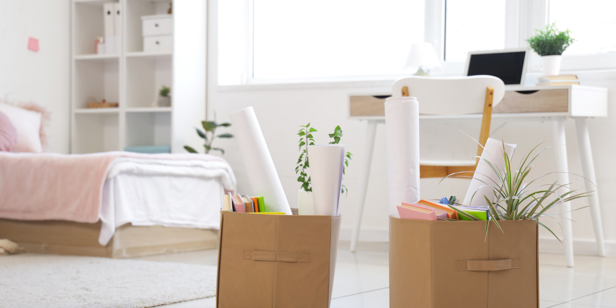 Scent-sational Dorm Life: Why Happy Wax Warmers are a College Essential