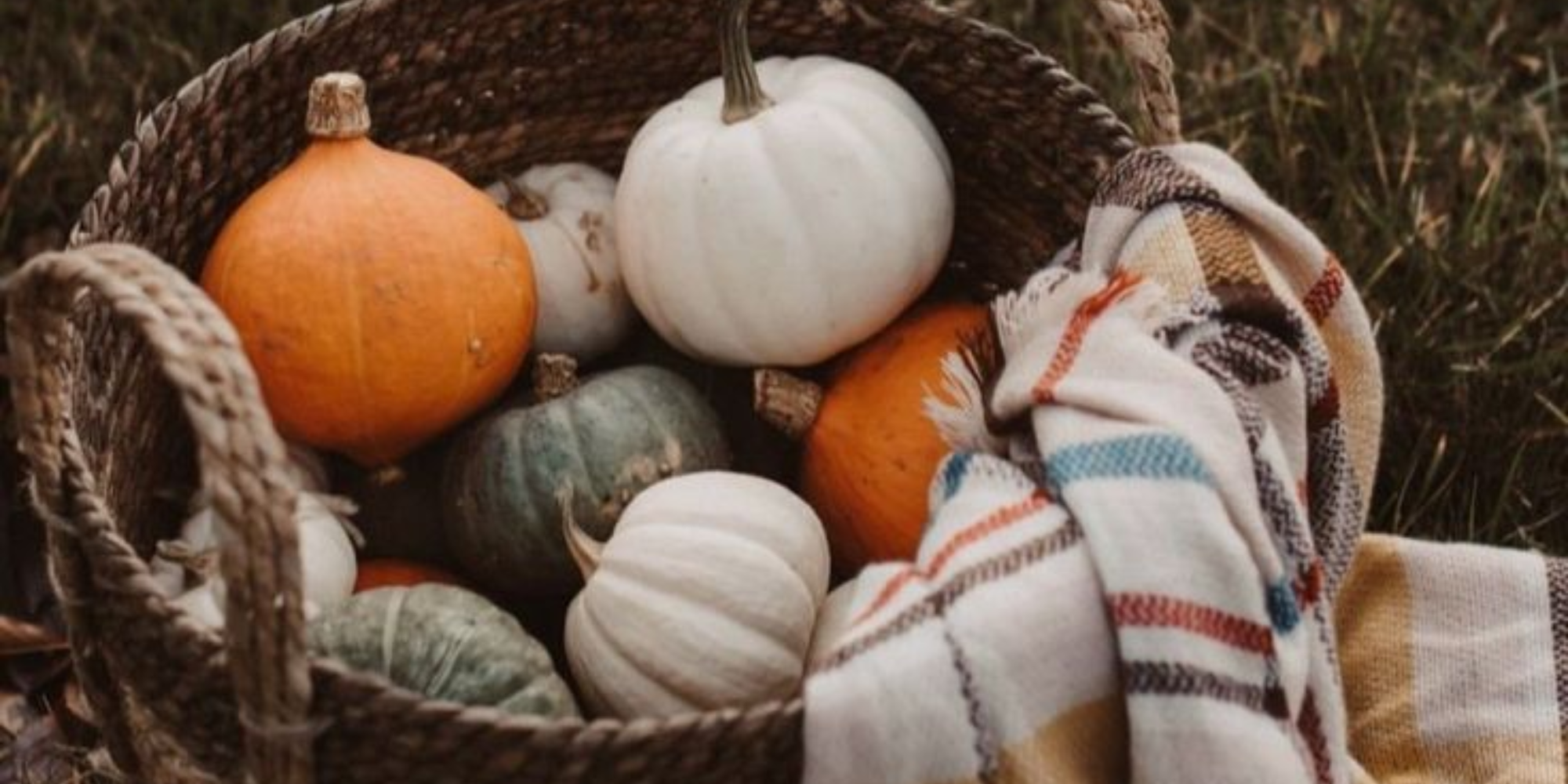 Scent Spotlight: Pumpkin