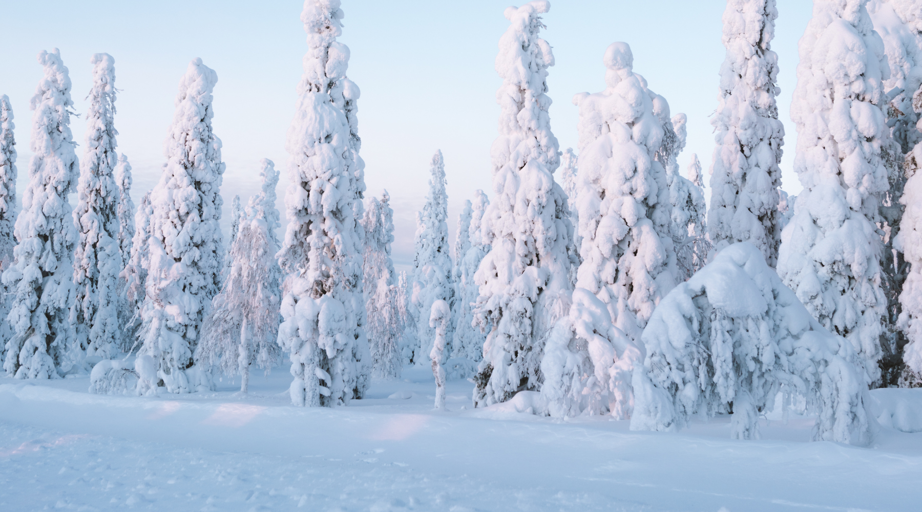 Winter Mix Guide: 7 Cheerful blends to keep the warm vibes going