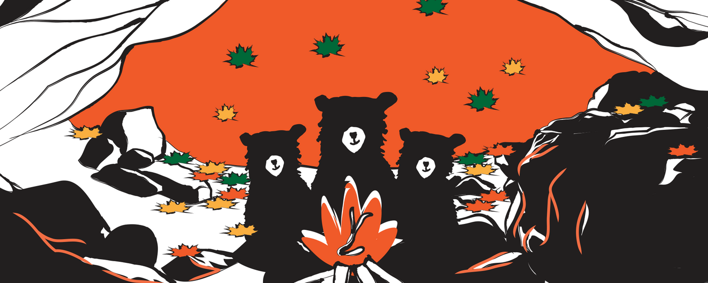 Bear Cave Collection