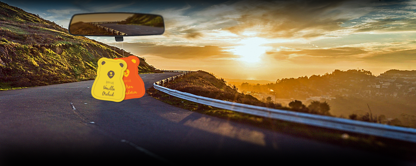 Car Cub Air Fresheners