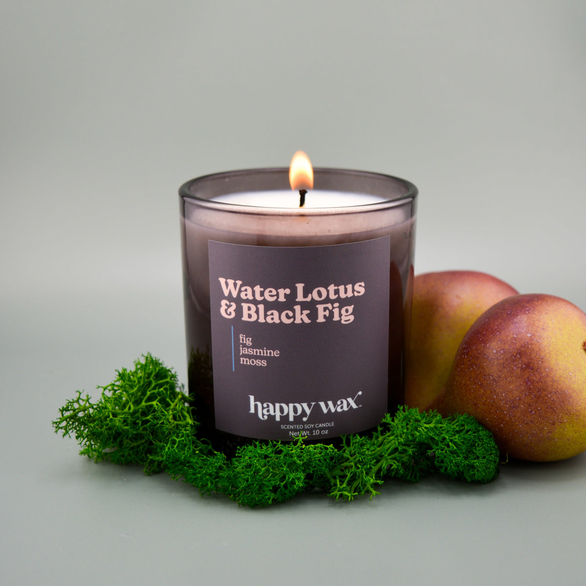 Water Lotus & Black Fig Single Wick Candle