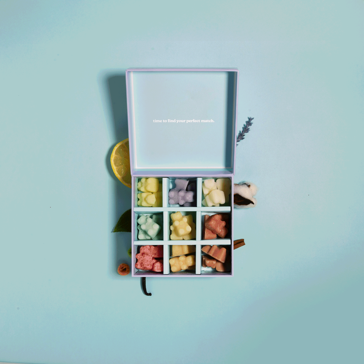 Wax Melt Discovery Kit