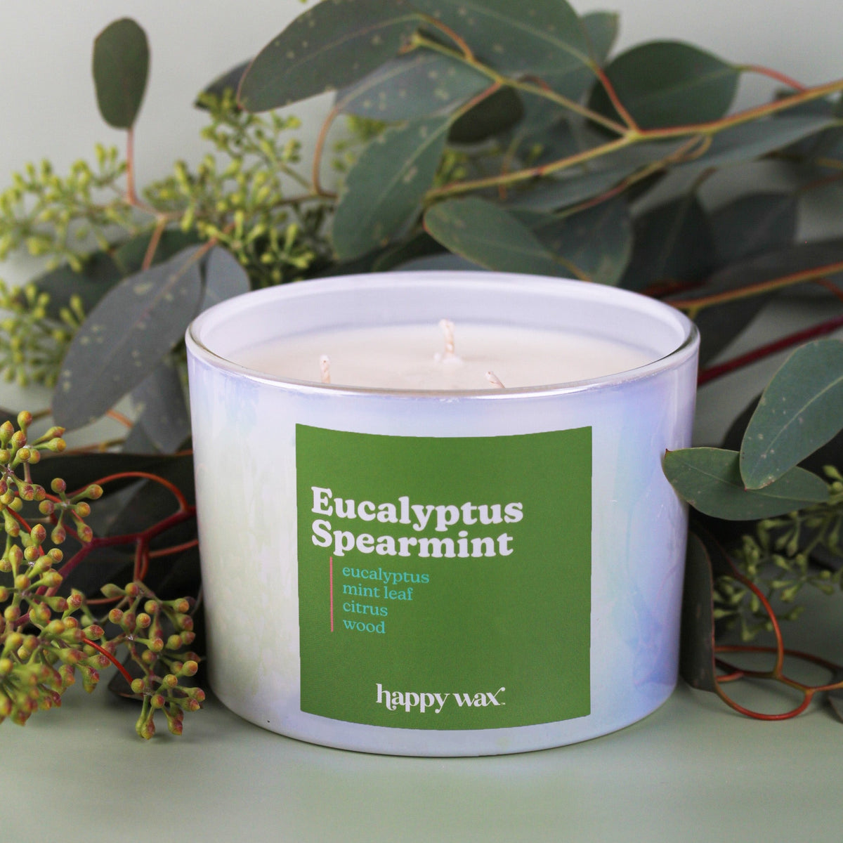 Eucalyptus Spearmint Three Wick Candle