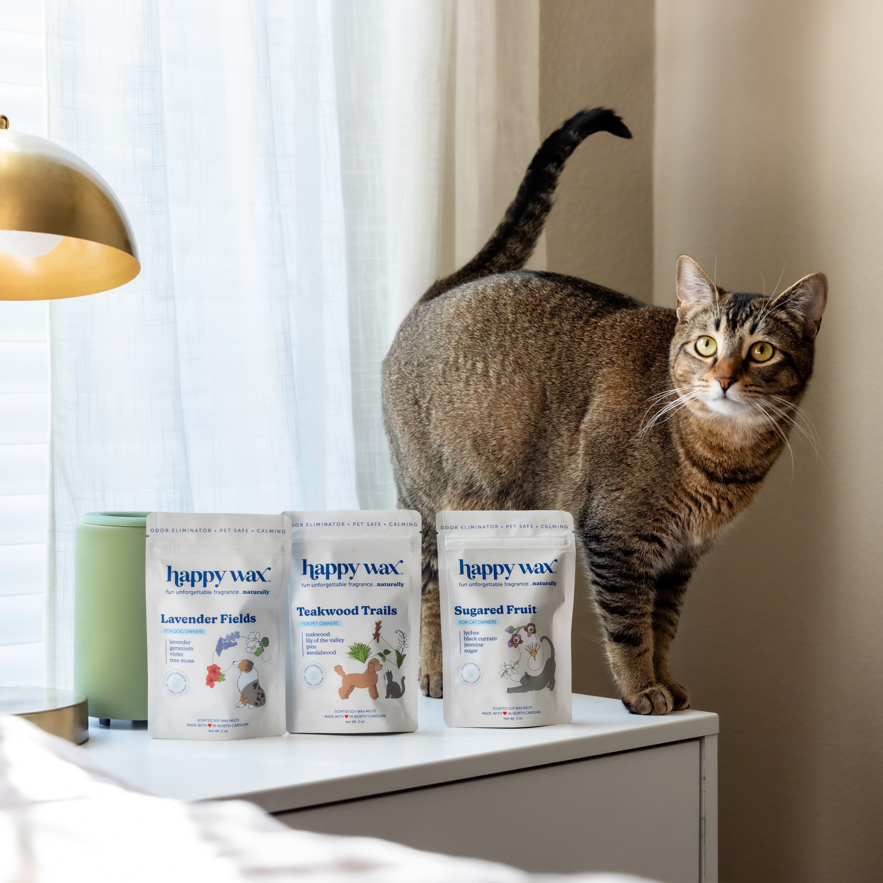 Pet Scents Collection 3-Pack