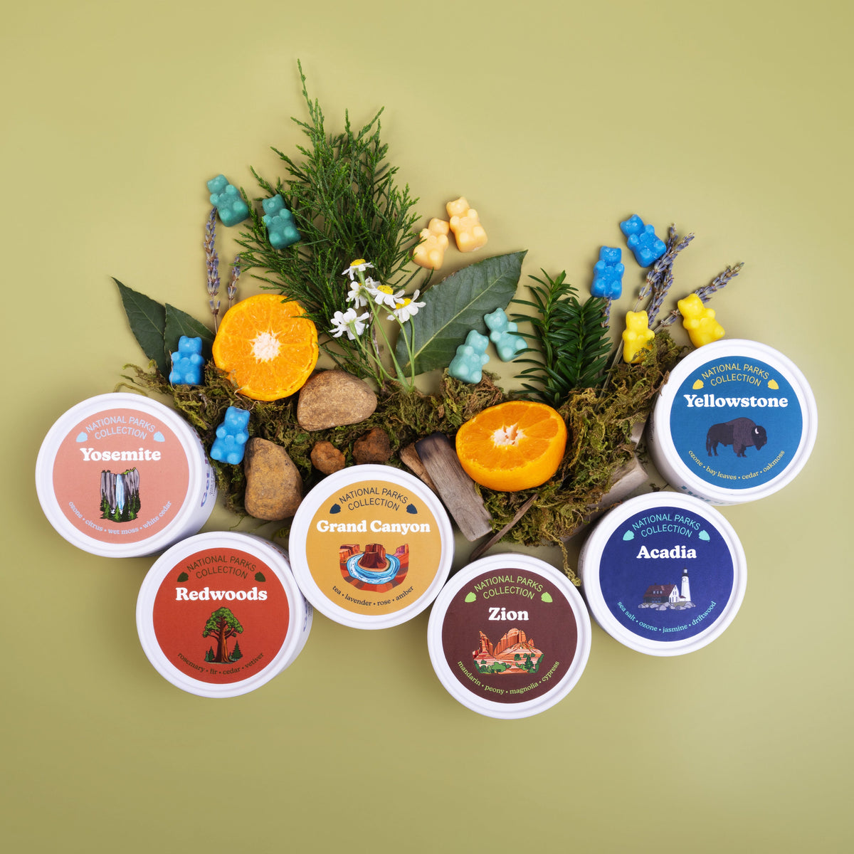 National Parks Collection 6-Pack