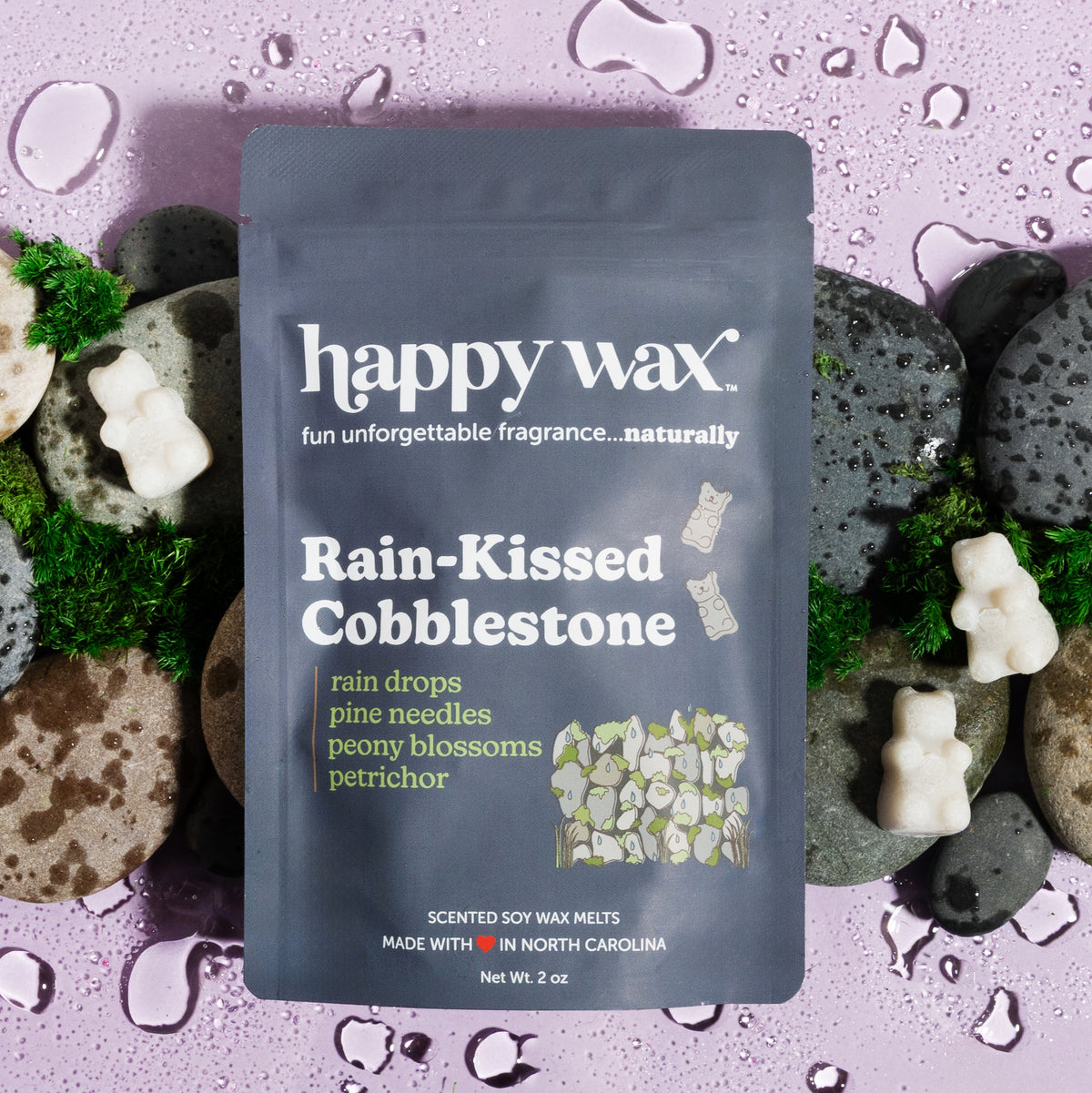 Rain-Kissed Cobblestone Wax Melts