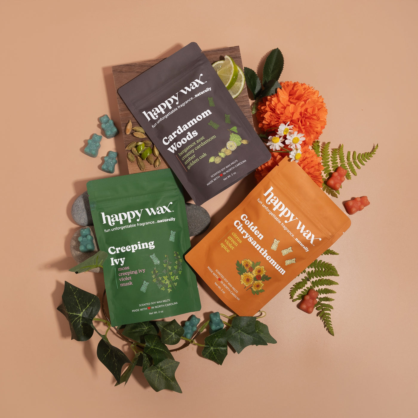Root & Bloom Collection 3-Pack