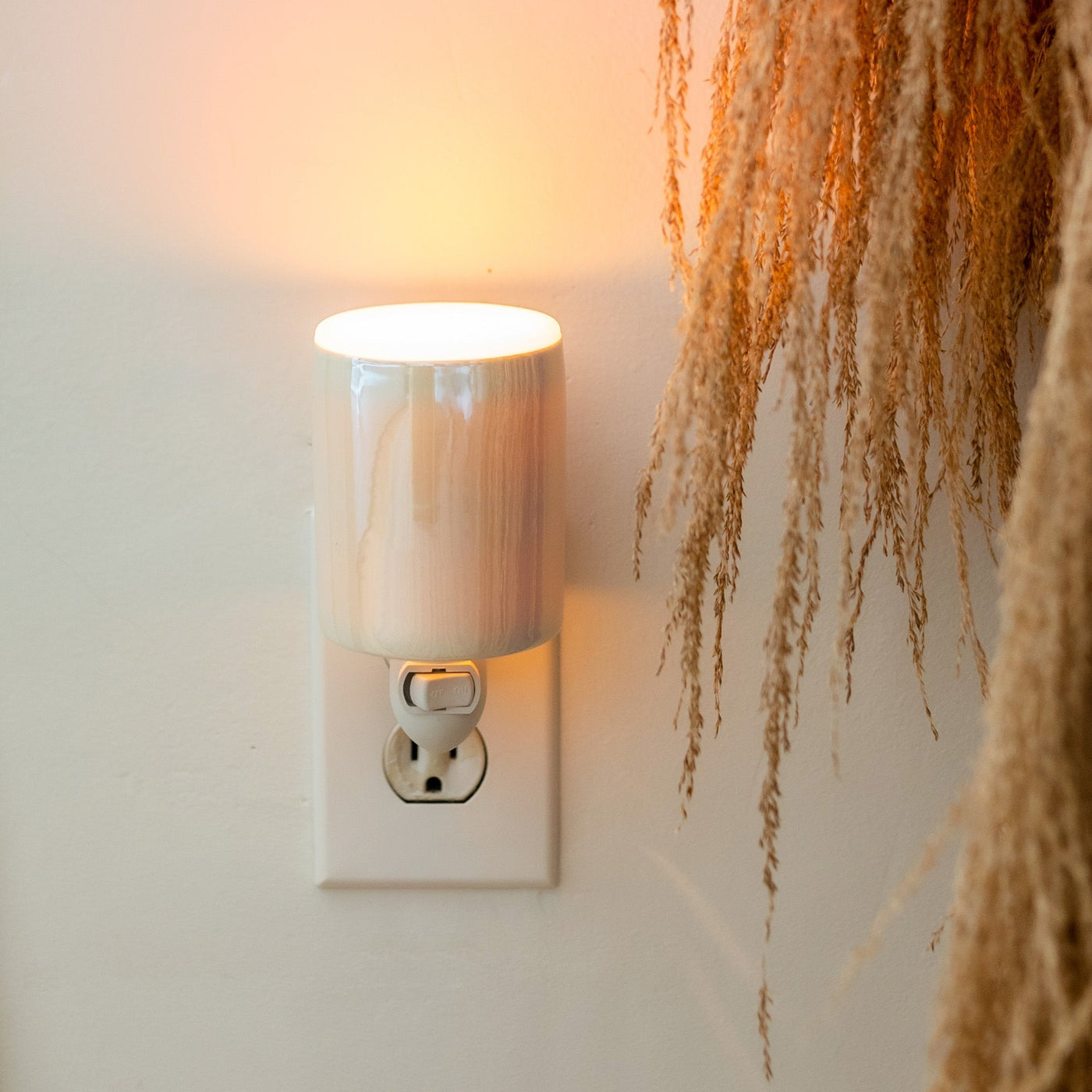 Iridescent Outlet Plug-In Wax Warmers