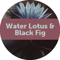 Water Lotus & Black Fig 