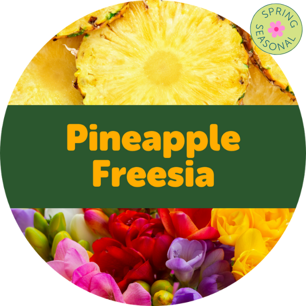 Happy Wax 2oz Sample Pack  Pineapple Freesia – 119 on North Boutique