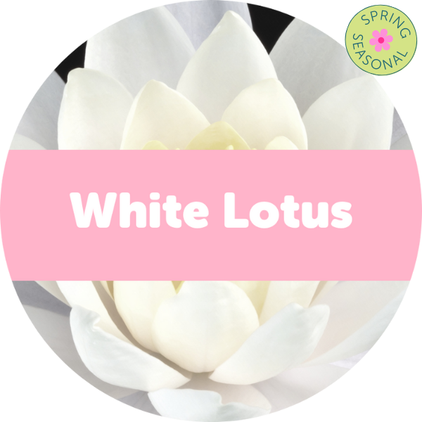 White Lotus Wax Melts