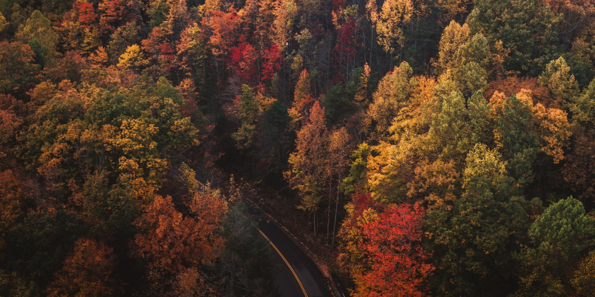 Fall Mix Guide: Cozy up to the scents of our favorite season