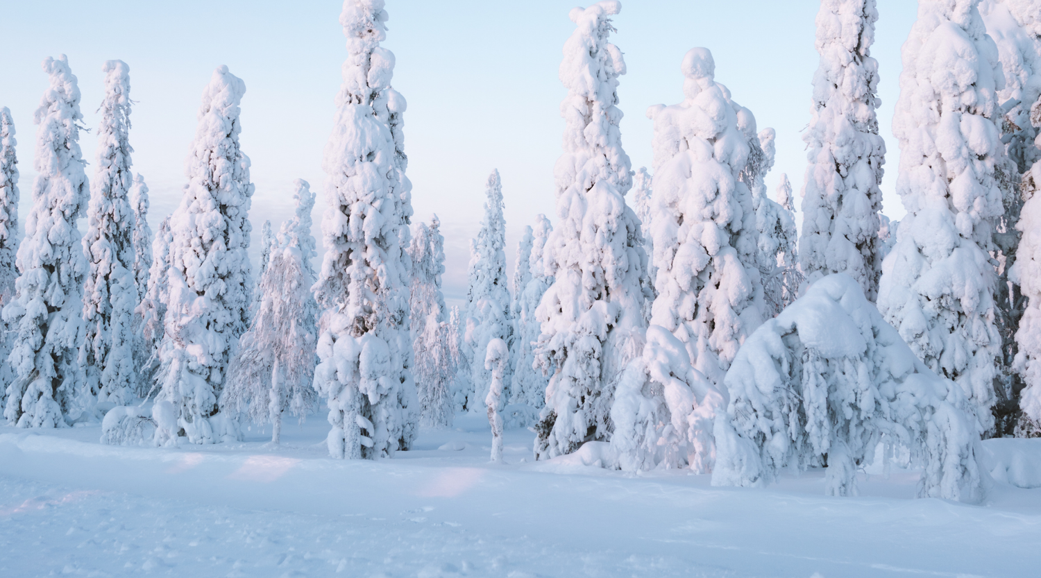 Winter Mix Guide: 7 Cheerful blends to keep the warm vibes going