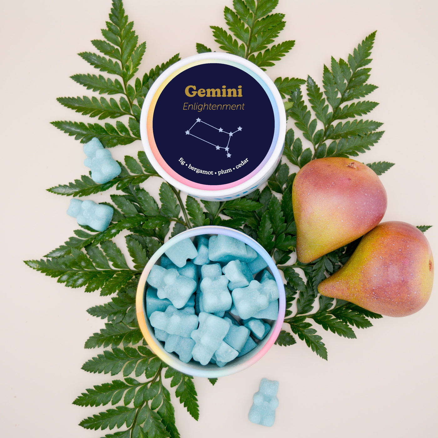 Gemini Wax Melts