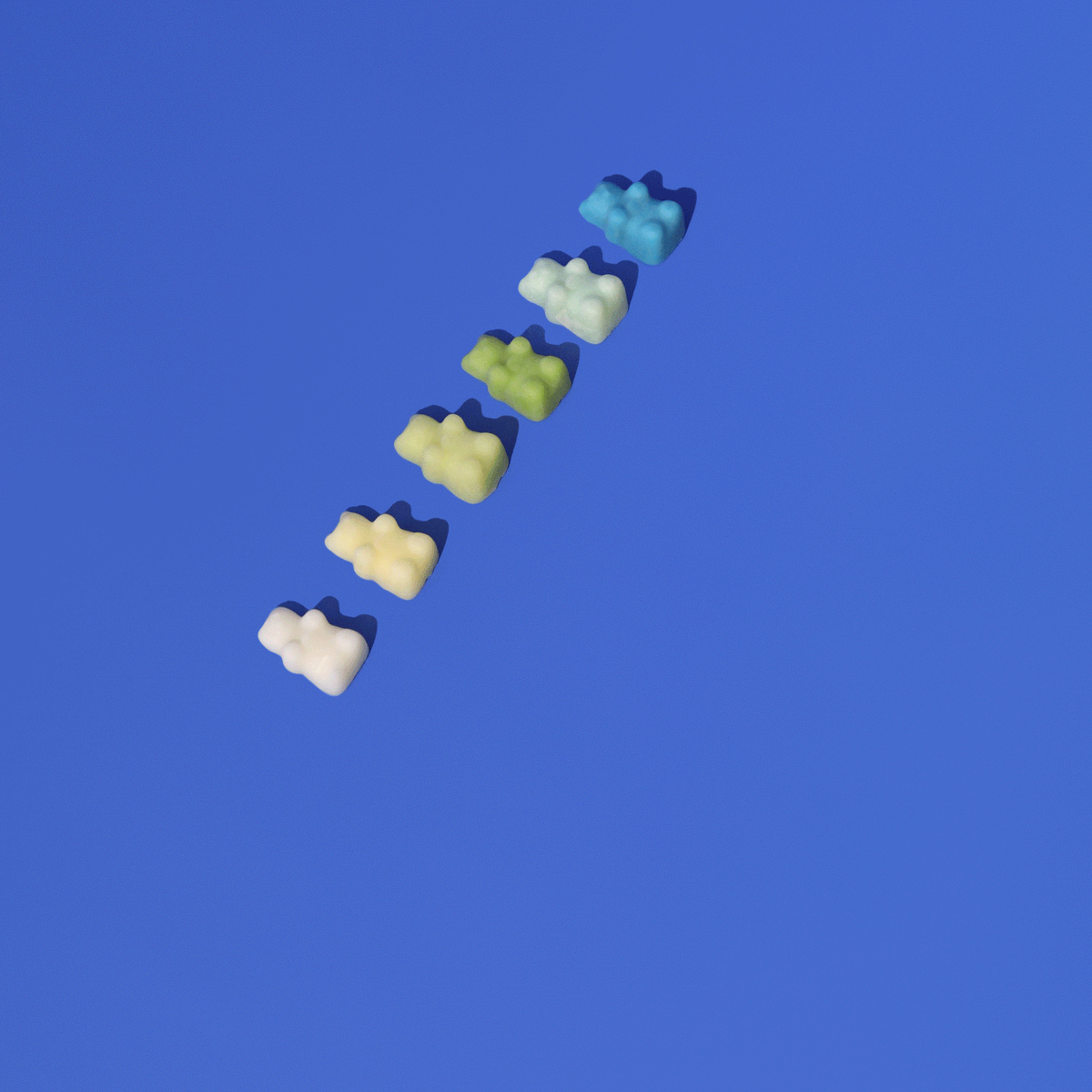 Scent Insider Rewards Program Happy Wax®