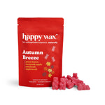 Autumn Breeze Wax Melts