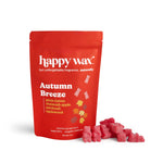 Autumn Breeze Wax Melts