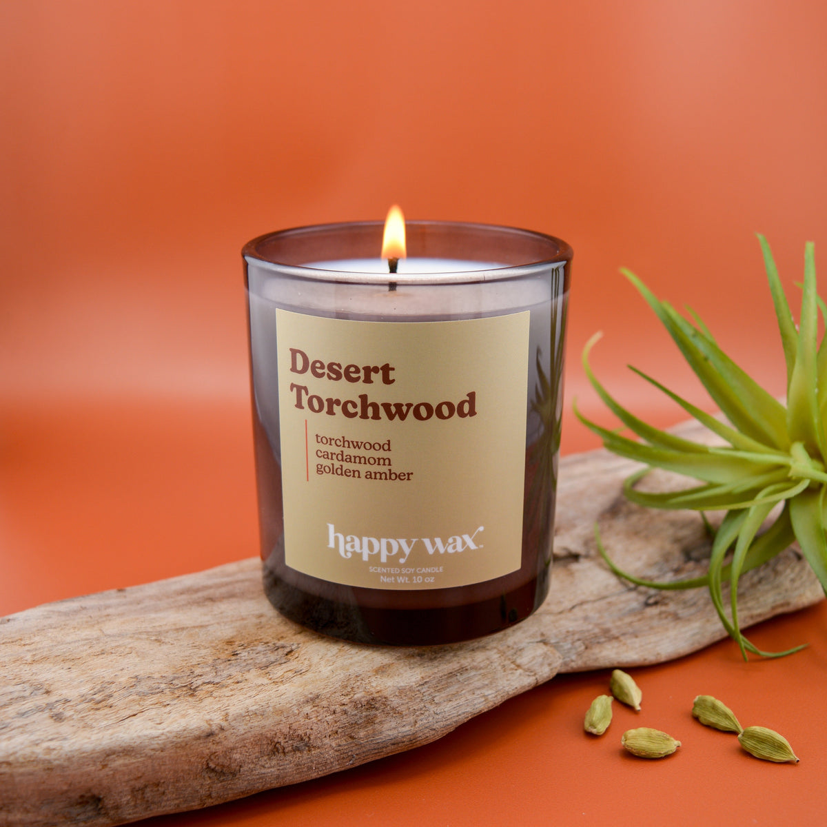 Desert Torchwood Single Wick Candle