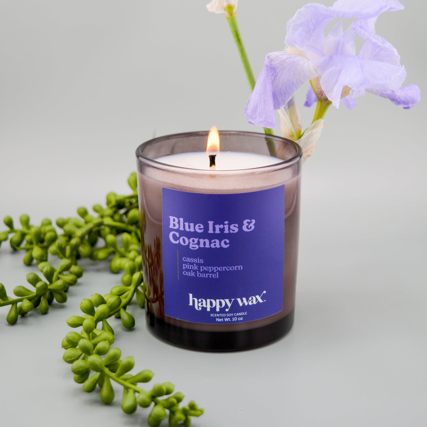 Blue Iris & Cognac Single Wick Candle