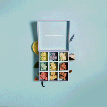 Wax Melt Discovery Kit | 9 Best-Selling Scents - Happy Wax®