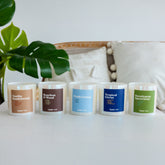 Essential Bestseller Candle Gift Bundle