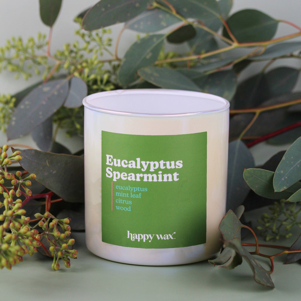 Eucalyptus Spearmint Single Wick Candle