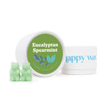 Eucalyptus Spearmint Wax Melts