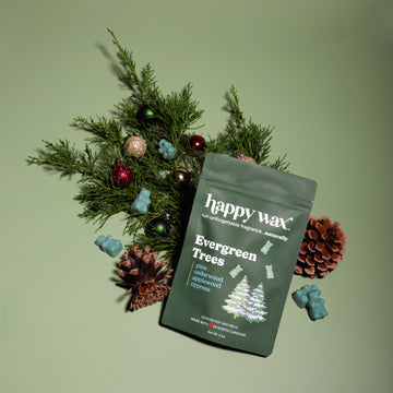 christmas tree money wax melt Evergreen Trees Wax Melts 2 oz. Pouch