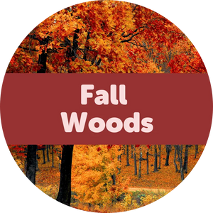 Fall Woods 