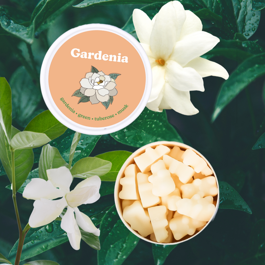 Gardenia Wax Melts