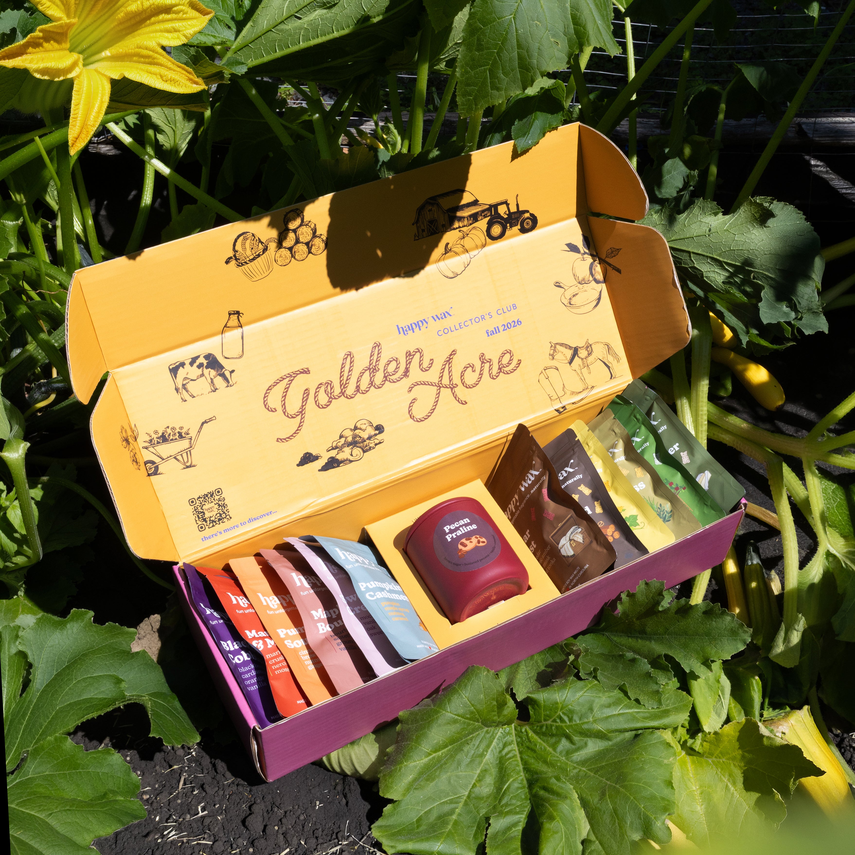Happy Wax Golden Acre Collector's Club box open showing 13 various Fall scented wax melt pouches in a squash garden
