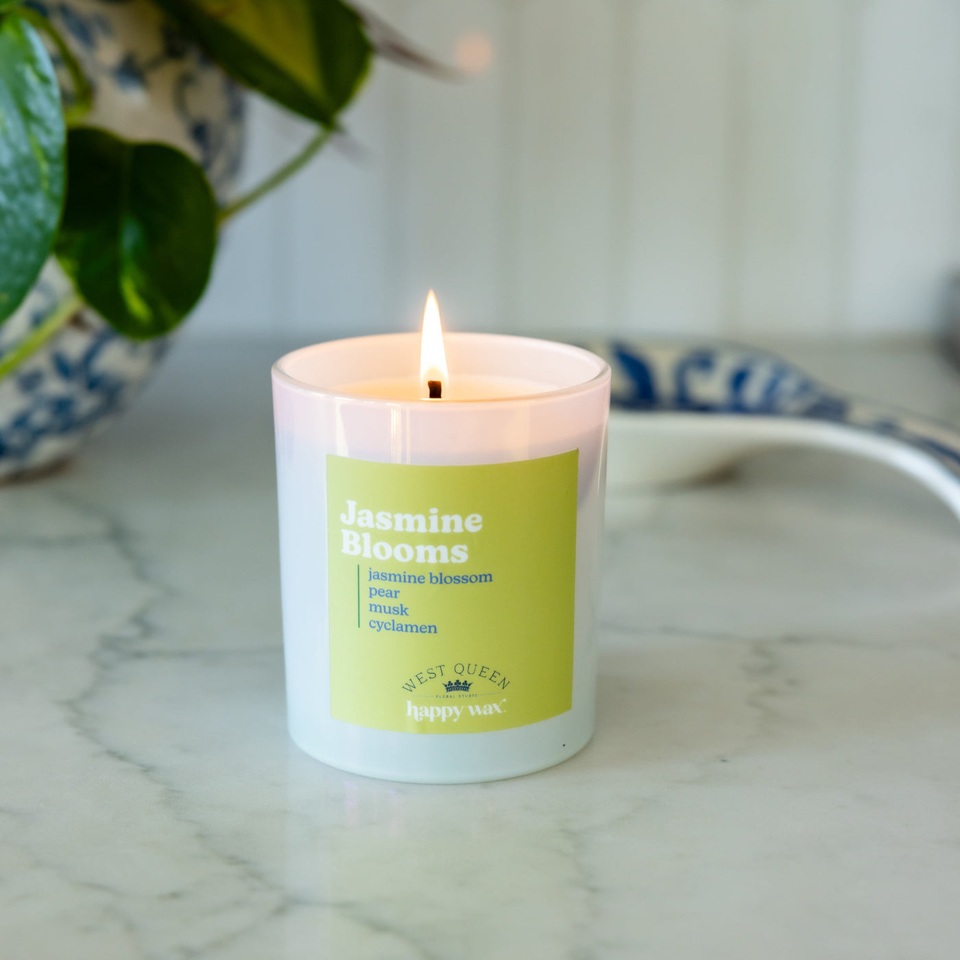 Jasmine Blooms Single Wick Candle