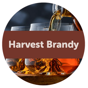 Harvest Brandy 