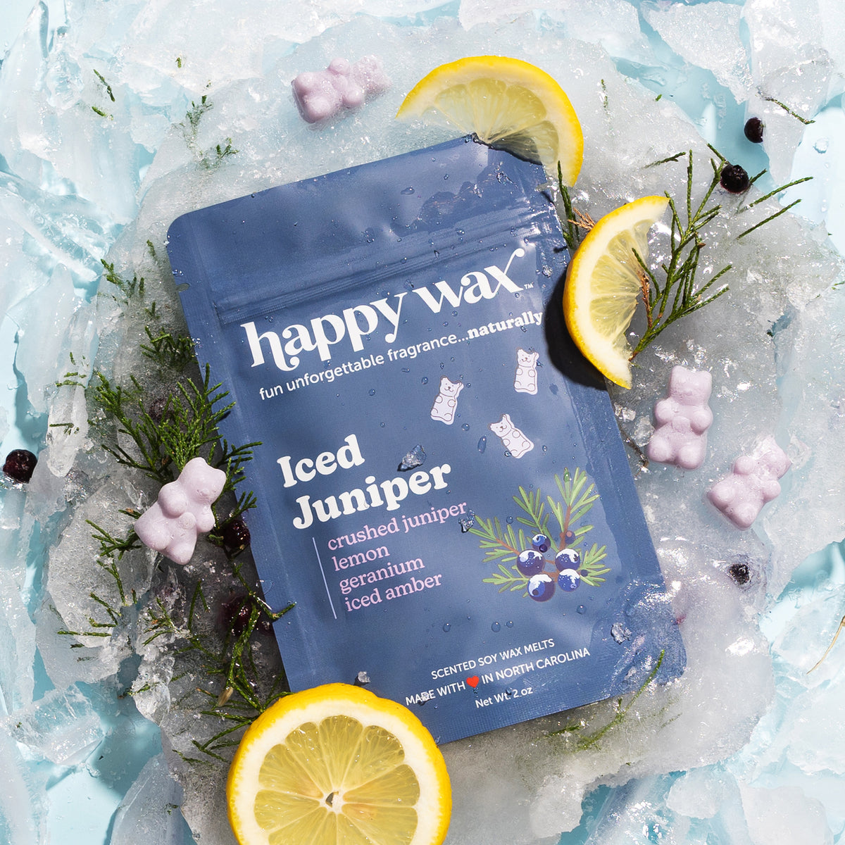Iced Juniper Wax Melts