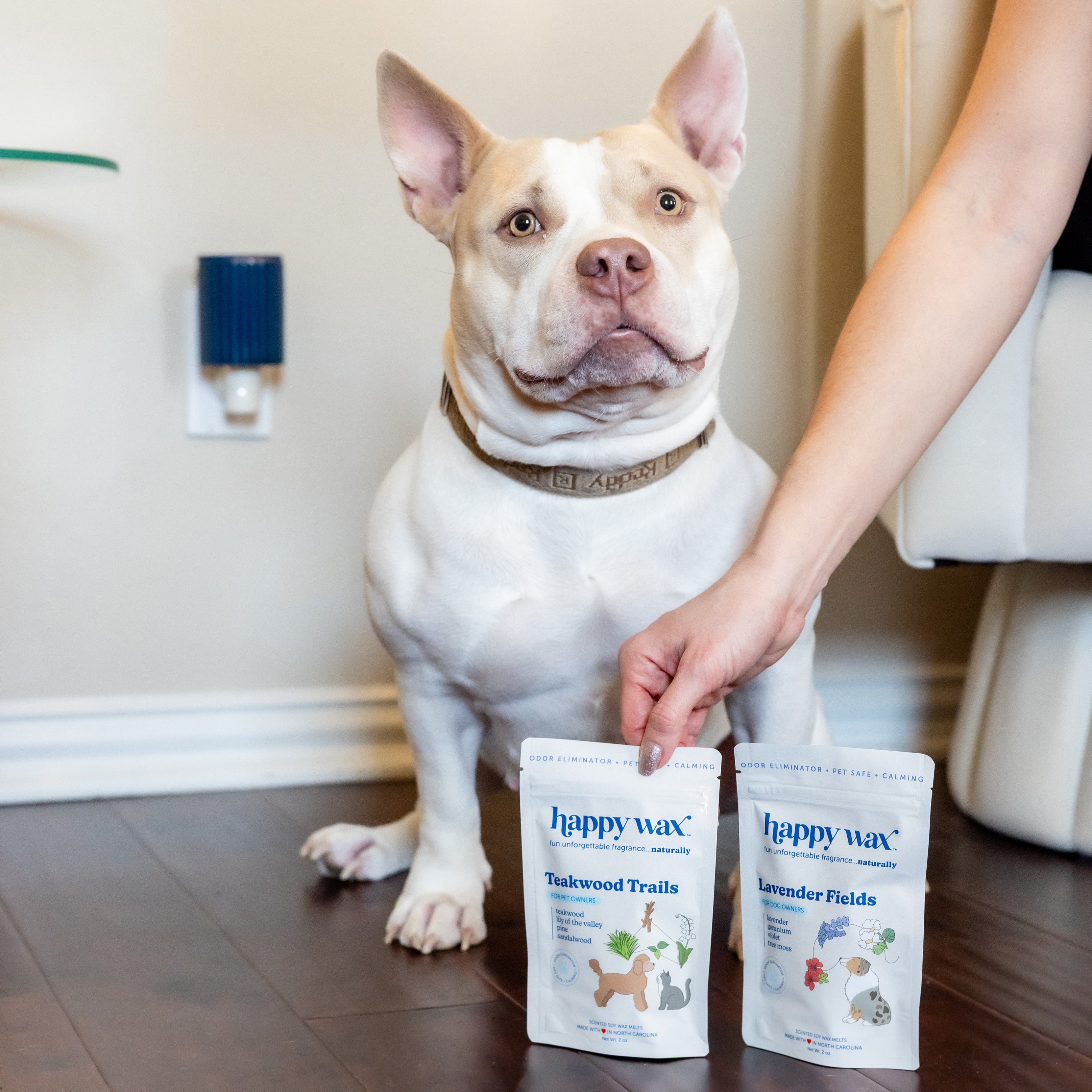 Teakwood Trails Pet Wax Melts for Pet Owners - Happy Wax®