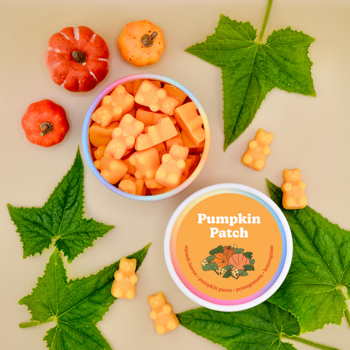 Pumpkin Patch Wax Melts