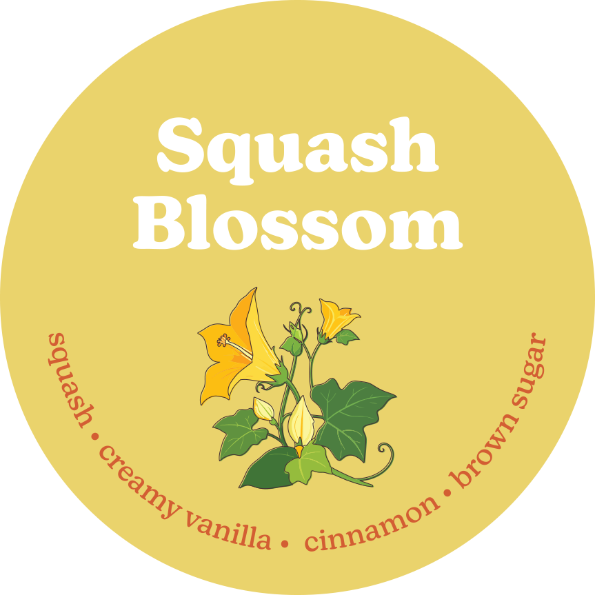 Yellow circular wax melt label with "Squash Blossom" text, illustrated squash flowers, and scent notes including vanilla, cin