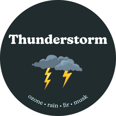 Thunderstorm Wax Melts