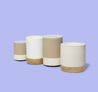 Wax Warmers