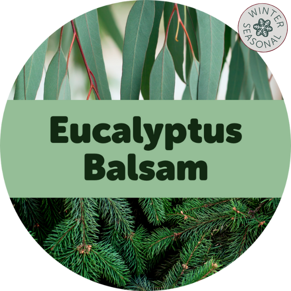 Eucalyptus Balsam Wax Melts