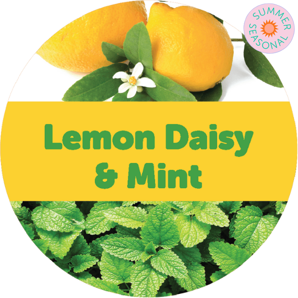 Lemon Daisy & Mint Wax Melts