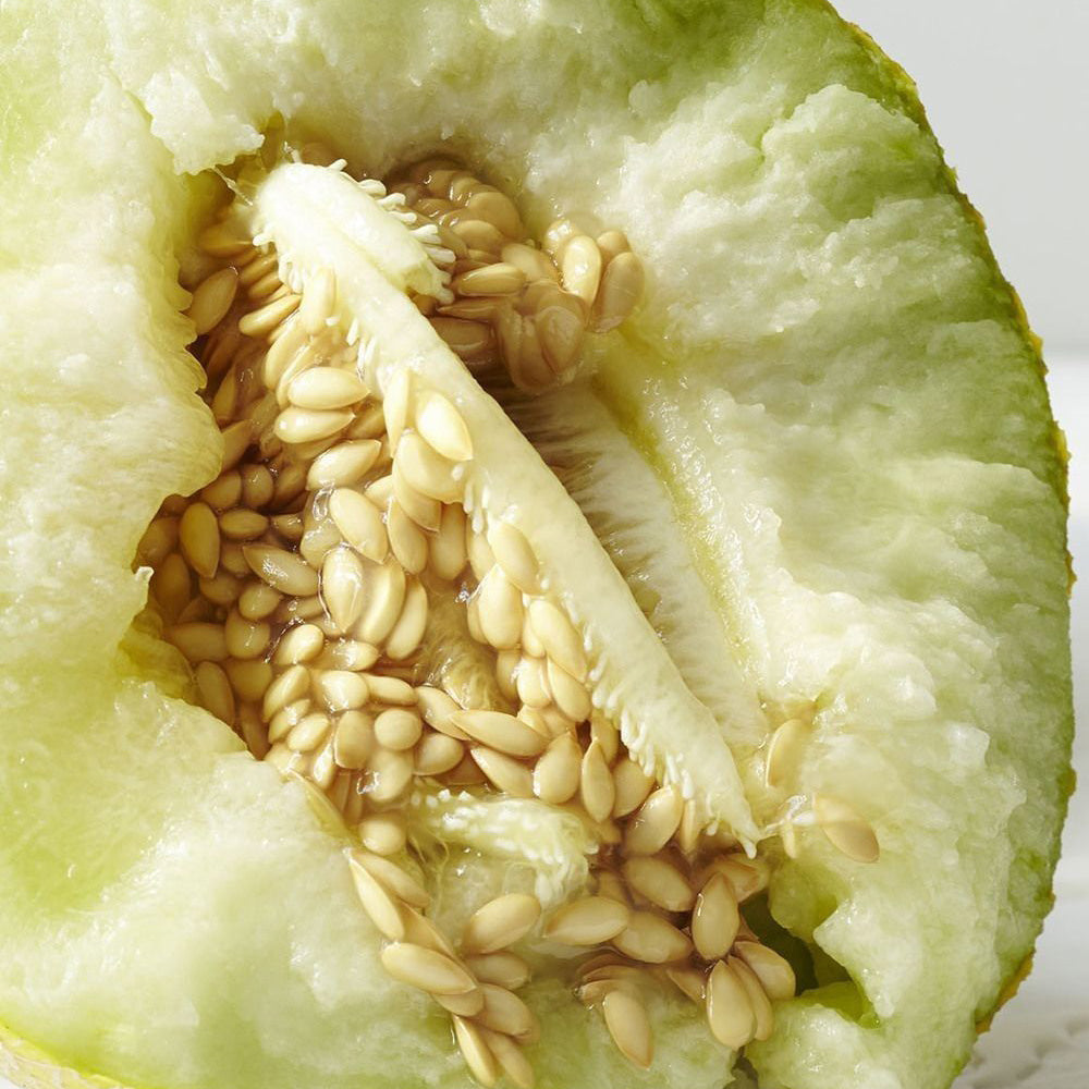 melon close up