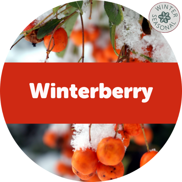 Winterberry Wax Melts