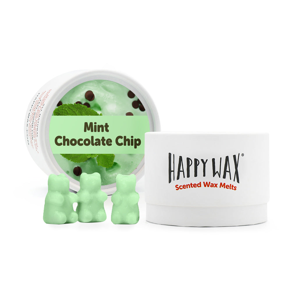 Mint Chocolate Chip Eco Tin Wax Melts