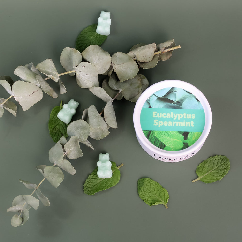 Eucalyptus Spearmint Wax Melts Happy Wax®