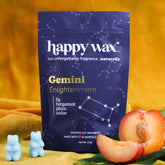 Gemini Wax Melts